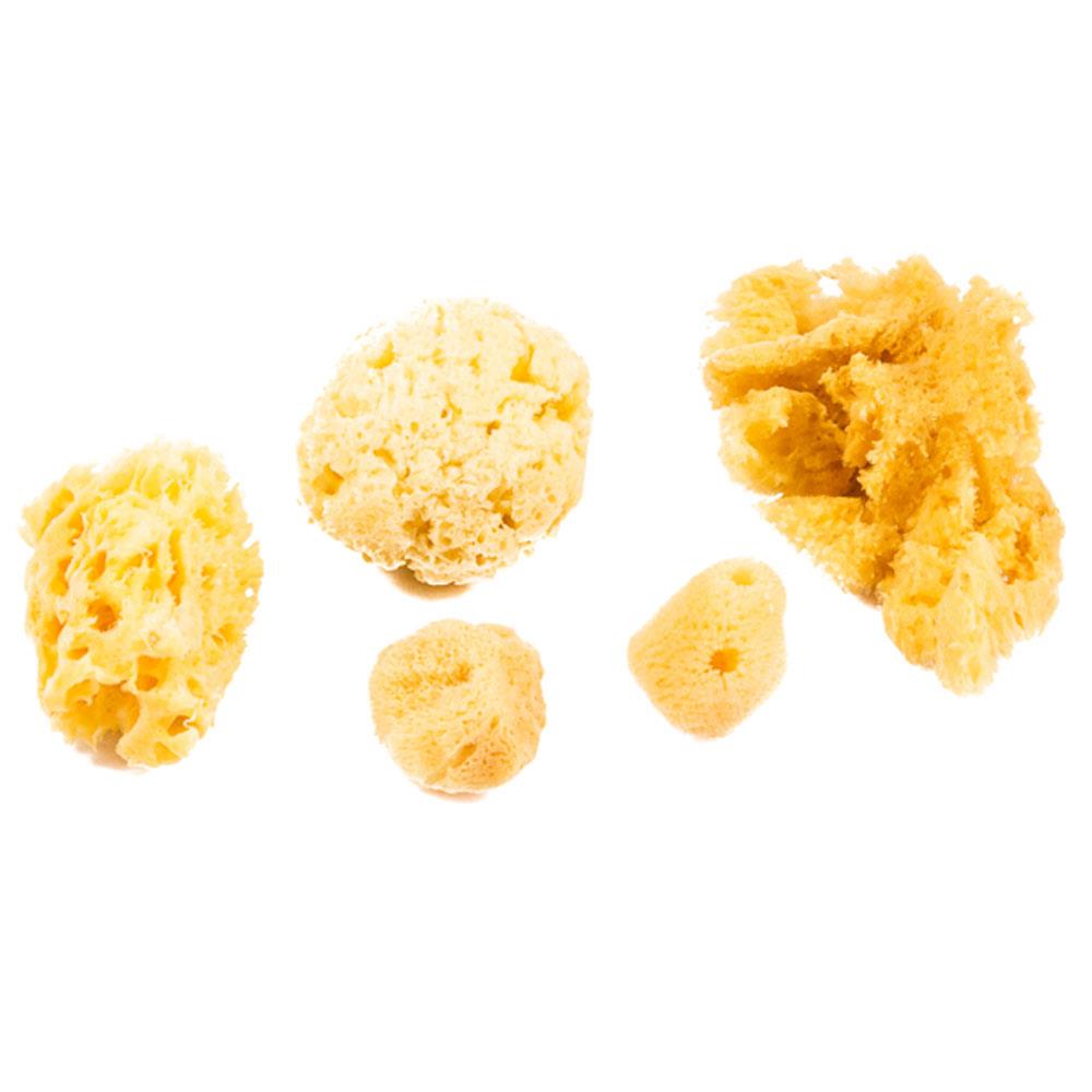 Jakar Artist Natural Sea Sponge Variety Pack